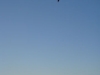 dsc01239